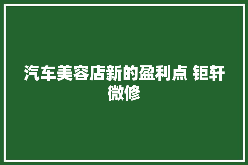 汽车美容店新的盈利点 钜轩微修