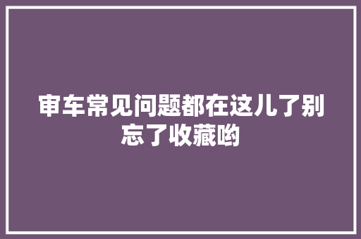 审车常见问题都在这儿了别忘了收藏哟