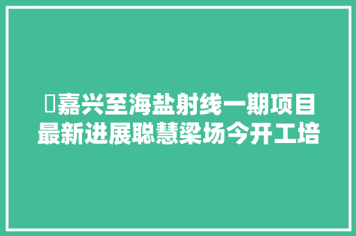​嘉兴至海盐射线一期项目最新进展聪慧梁场今开工培植