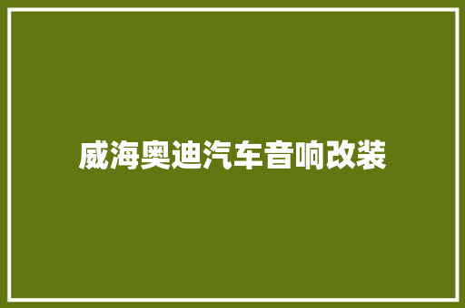 威海奥迪汽车音响改装
