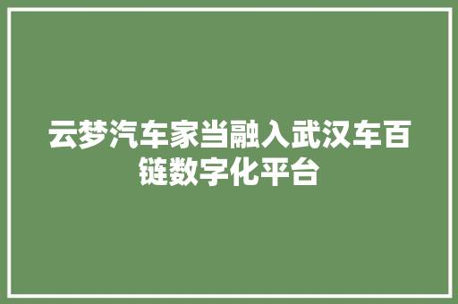 云梦汽车家当融入武汉车百链数字化平台