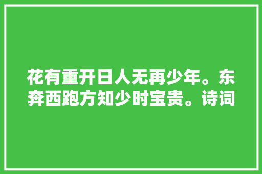 花有重开日人无再少年。东奔西跑方知少时宝贵。诗词
