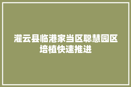 灌云县临港家当区聪慧园区培植快速推进