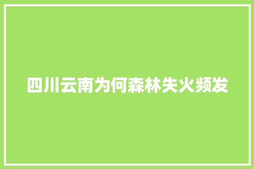 四川云南为何森林失火频发