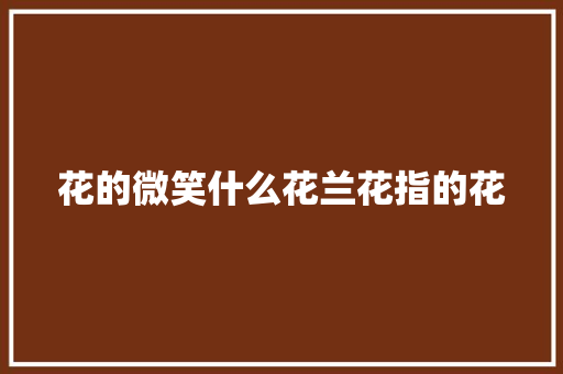 花的微笑什么花兰花指的花