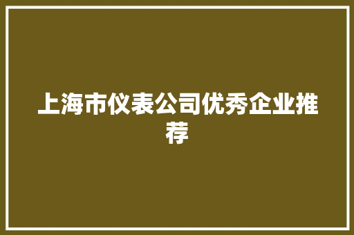 上海市仪表公司优秀企业推荐