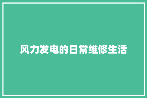 风力发电的日常维修生活