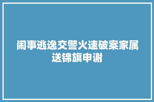 闹事逃逸交警火速破案家属送锦旗申谢