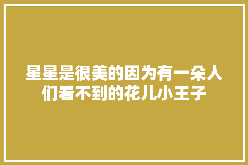 星星是很美的因为有一朵人们看不到的花儿小王子