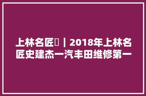 上林名匠⑬｜2018年上林名匠史建杰一汽丰田维修第一流别职称丰田诊断技师