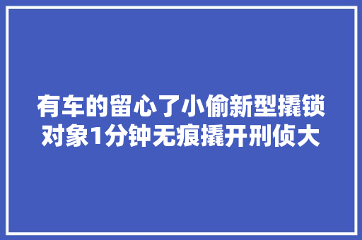 有车的留心了小偷新型撬锁对象1分钟无痕撬开刑侦大年夜队长车门