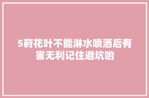 5莳花叶不能淋水喷洒后有害无利记住避坑哟
