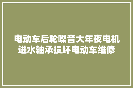 电动车后轮噪音大年夜电机进水轴承损坏电动车维修