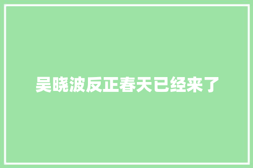 吴晓波反正春天已经来了