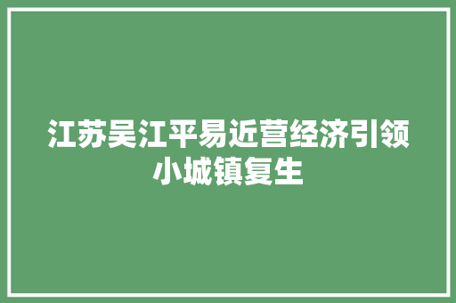 江苏吴江平易近营经济引领小城镇复生
