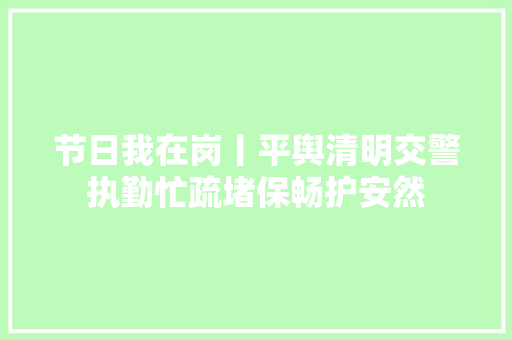 节日我在岗丨平舆清明交警执勤忙疏堵保畅护安然