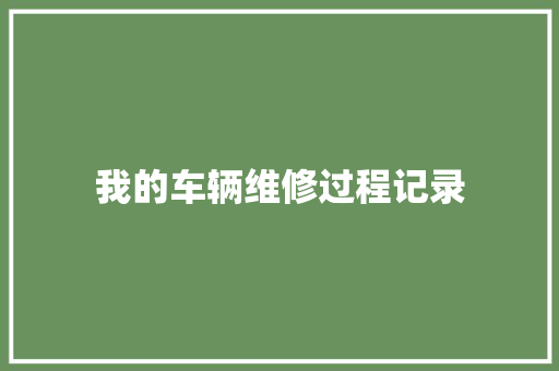 我的车辆维修过程记录