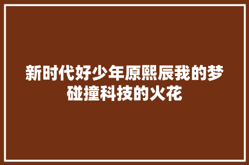 新时代好少年原熙辰我的梦碰撞科技的火花