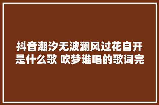 抖音潮汐无波澜风过花自开是什么歌 吹梦谁唱的歌词完整版