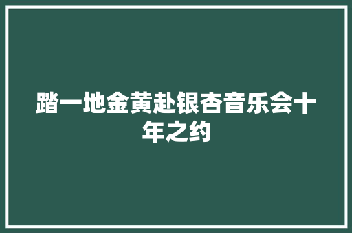 踏一地金黄赴银杏音乐会十年之约