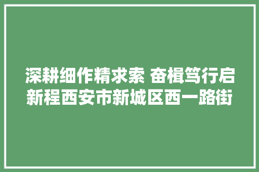深耕细作精求索 奋楫笃行启新程西安市新城区西一路街道退役军人事务工作年关回忆