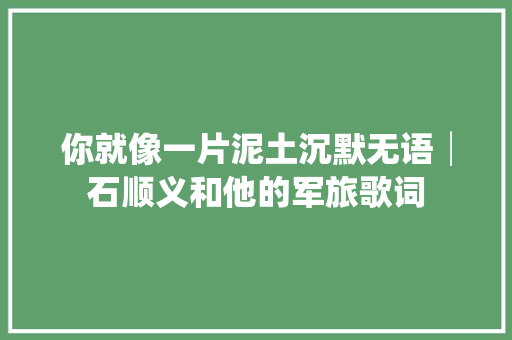 你就像一片泥土沉默无语│石顺义和他的军旅歌词