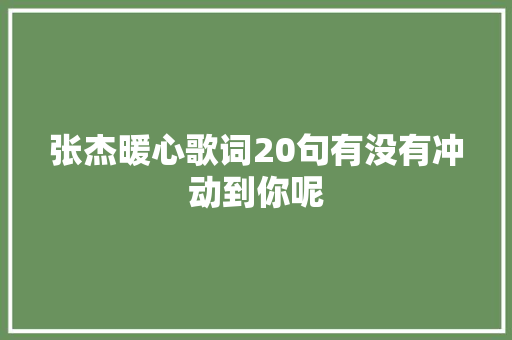 张杰暖心歌词20句有没有冲动到你呢