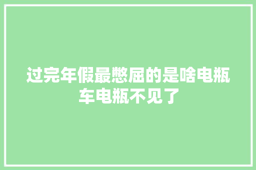 过完年假最憋屈的是啥电瓶车电瓶不见了