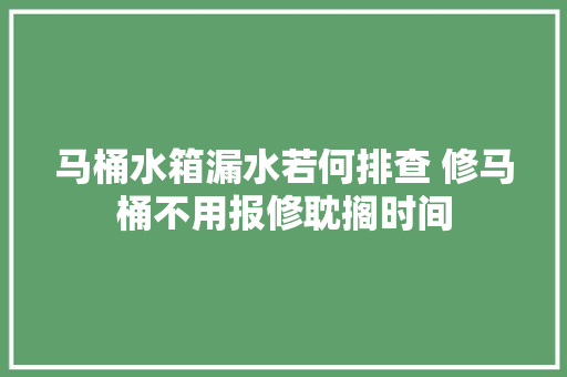 马桶水箱漏水若何排查 修马桶不用报修耽搁时间