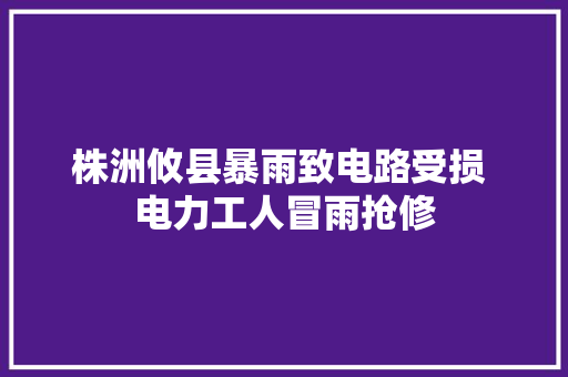 株洲攸县暴雨致电路受损 电力工人冒雨抢修