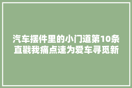 汽车摆件里的小门道第10条直戳我痛点速为爱车寻觅新玩伴