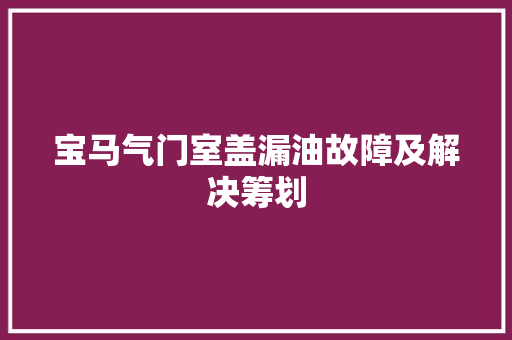 宝马气门室盖漏油故障及解决筹划