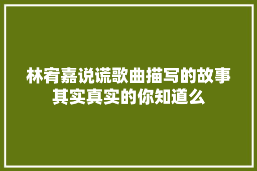 林宥嘉说谎歌曲描写的故事其实真实的你知道么