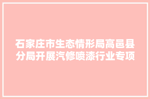石家庄市生态情形局高邑县分局开展汽修喷漆行业专项整治行动