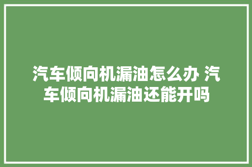汽车倾向机漏油怎么办 汽车倾向机漏油还能开吗 汽车知识