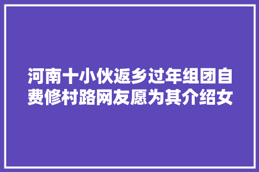 河南十小伙返乡过年组团自费修村路网友愿为其介绍女同伙