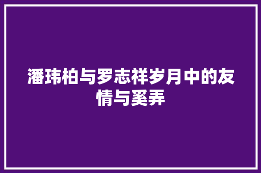 潘玮柏与罗志祥岁月中的友情与奚弄