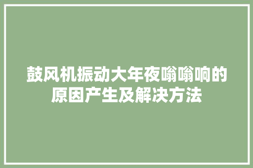 鼓风机振动大年夜嗡嗡响的原因产生及解决方法