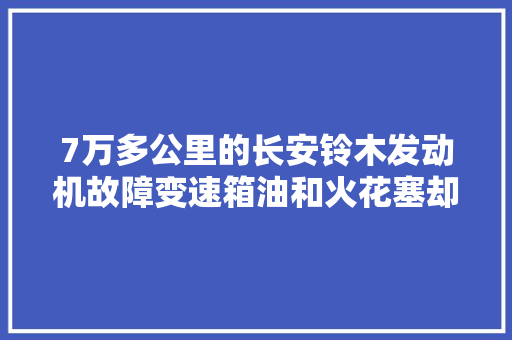7万多公里的长安铃木发动机故障变速箱油和火花塞却从没换过