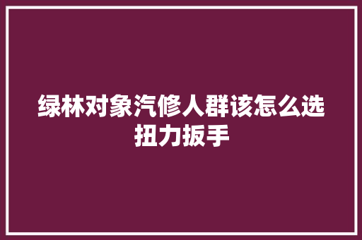 绿林对象汽修人群该怎么选扭力扳手