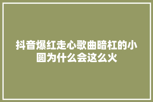 抖音爆红走心歌曲暗杠的小圆为什么会这么火