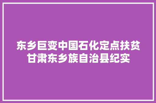 东乡巨变中国石化定点扶贫甘肃东乡族自治县纪实