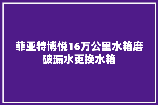 菲亚特博悦16万公里水箱磨破漏水更换水箱