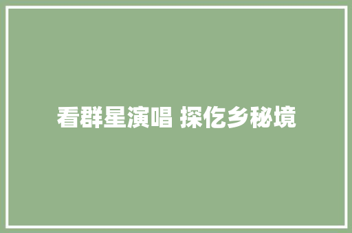 看群星演唱 探仡乡秘境