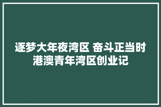 逐梦大年夜湾区 奋斗正当时港澳青年湾区创业记