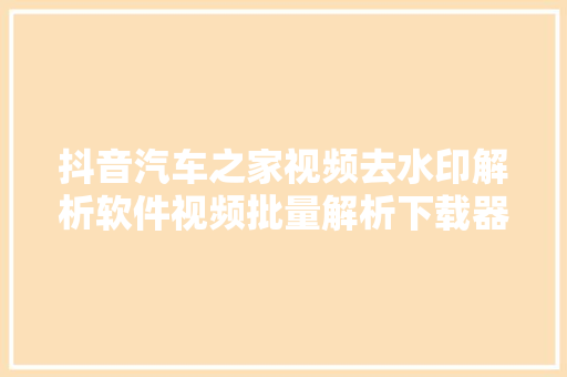 抖音汽车之家视频去水印解析软件视频批量解析下载器