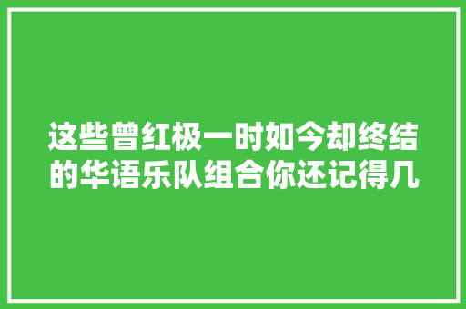 这些曾红极一时如今却终结的华语乐队组合你还记得几个