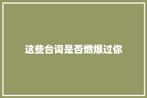 这些台词是否燃爆过你