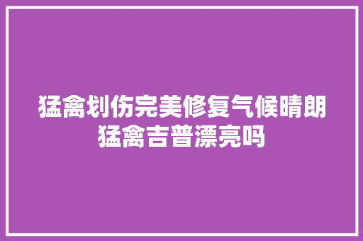 猛禽划伤完美修复气候晴朗猛禽吉普漂亮吗