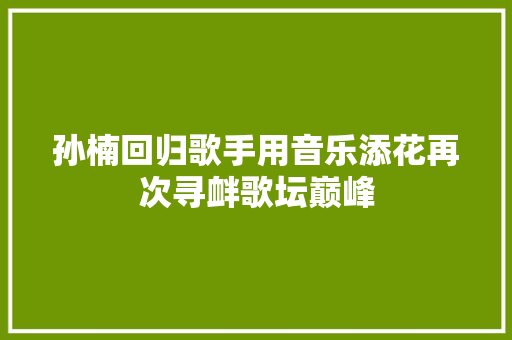 孙楠回归歌手用音乐添花再次寻衅歌坛巅峰